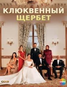 Клюквенный щербет [1 - 106]